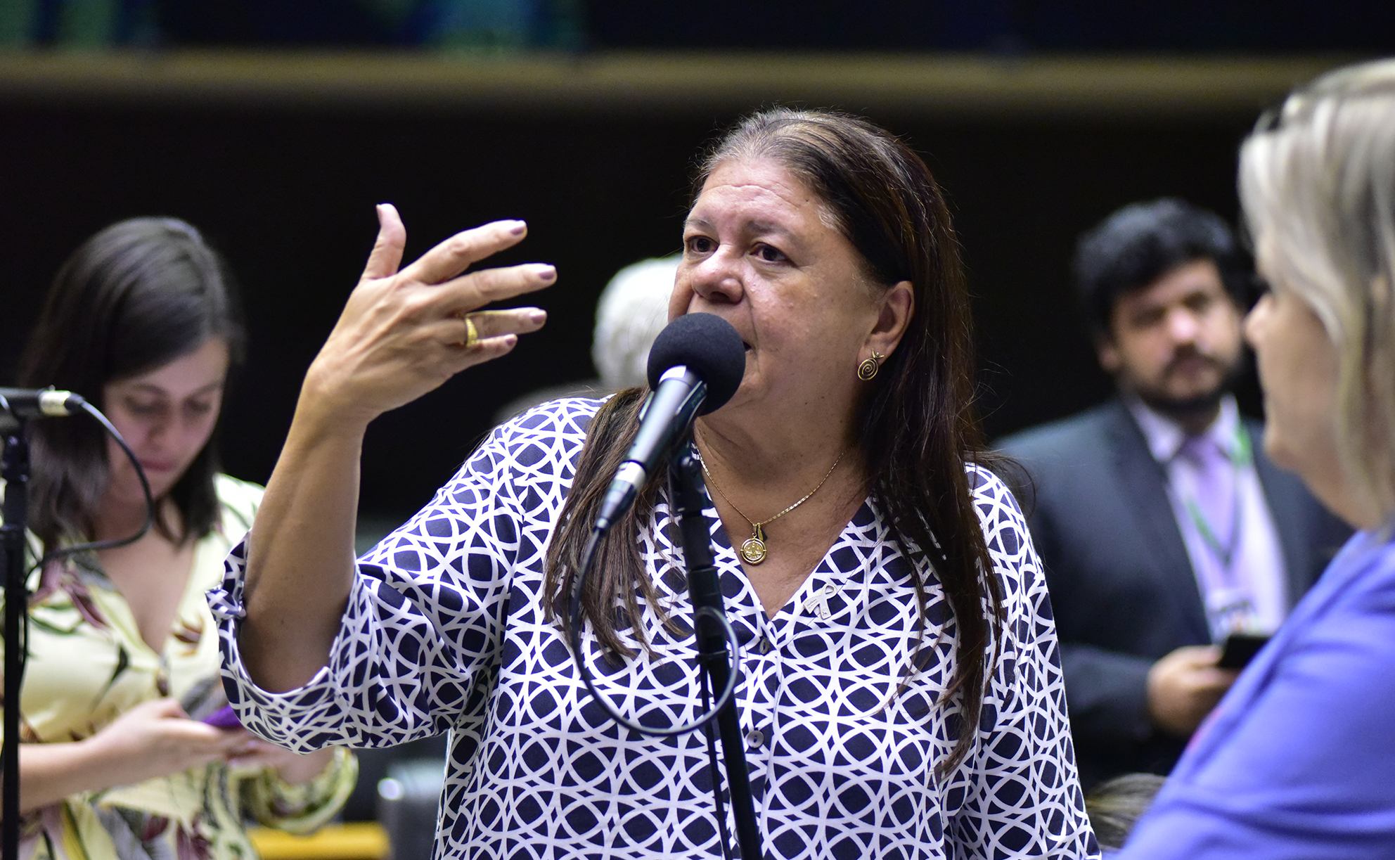 Discussão e votação de propostas. Dep. Laura Carneiro (PSD - RJ)